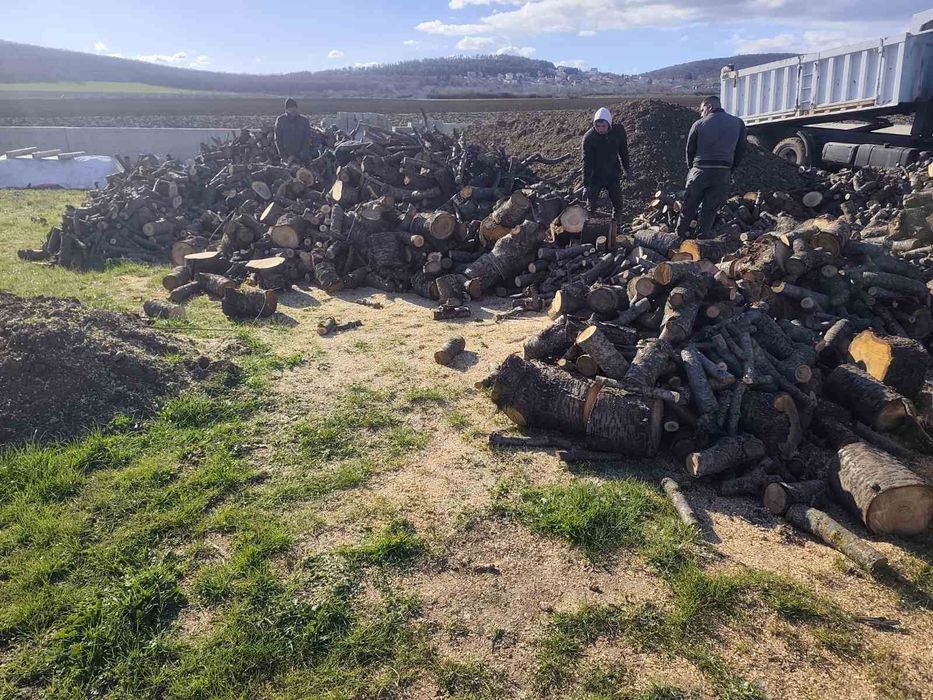 Дърва за огрев -безплатен траспорт