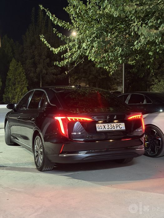 Hongqi eqm5 500km