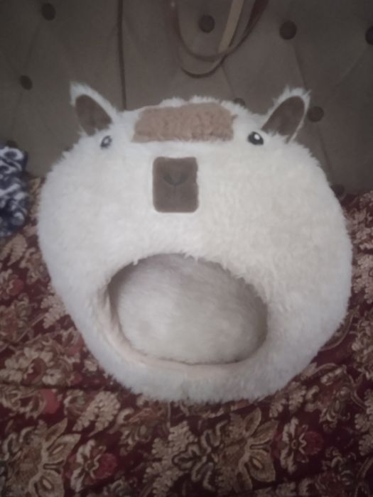 Mushukchalar uychasi va juda isiqina ixcham chiroyli