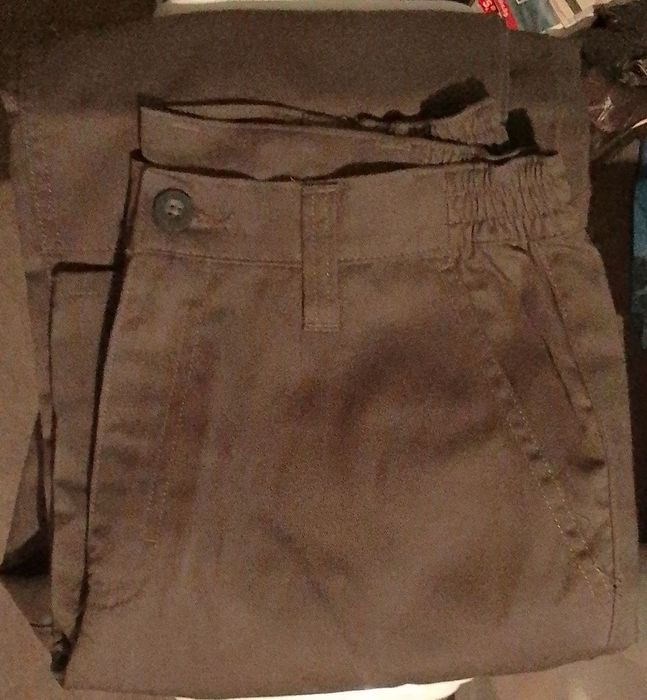 Мъжки карго панталон Steppe 300