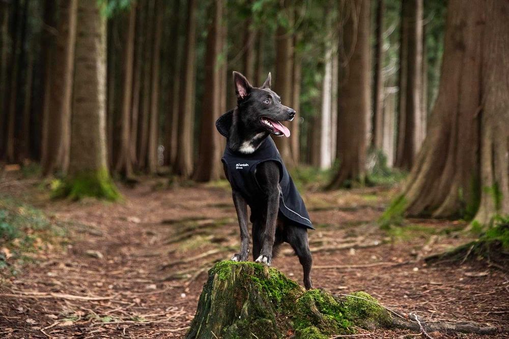 Дъждобран за кучета Mountain Paws, водоустойчив ветроустойчив,размер М