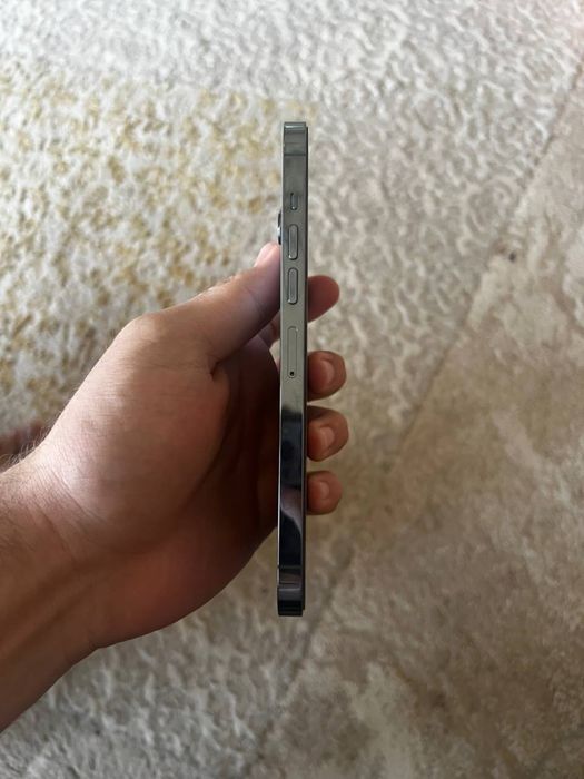 13 pro max 512Gb