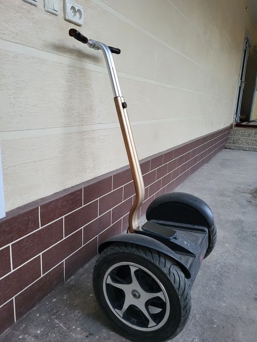 Продам большой сигвей.