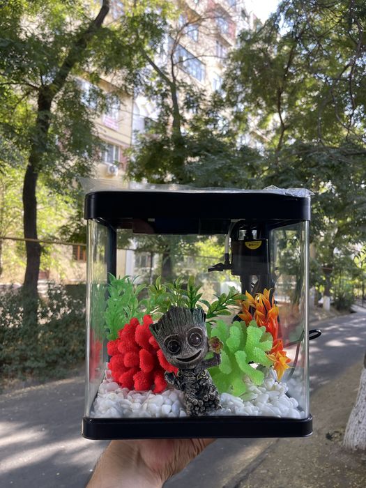 Akvarium mini xitoy