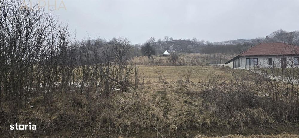 Teren Intravilan la Intrare in Ghinda -  15 ari  la drumul asfaltat cu