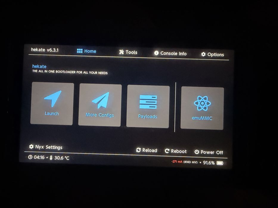 Nintendo switch lite прошитая