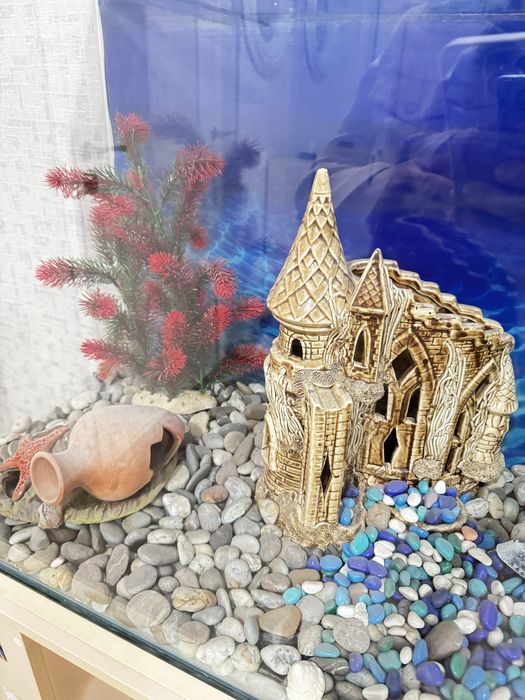 Продам аквариум в комплекте