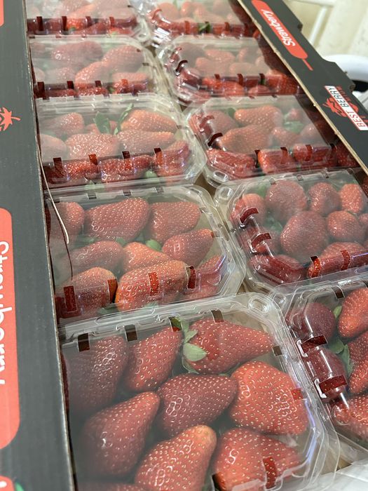 Клубника в шоколаде