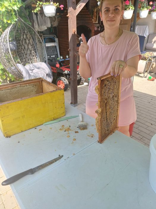 Miere de albine din stupina proprie