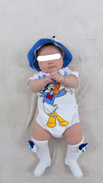 Образ Donald duck