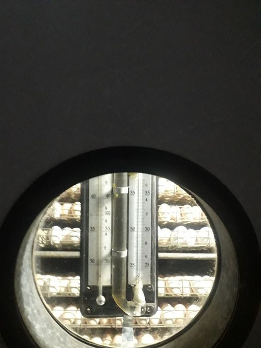 Инкубатор сотилади