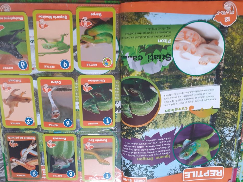 Gradinita de ANIMALE..clasor  editie 2015