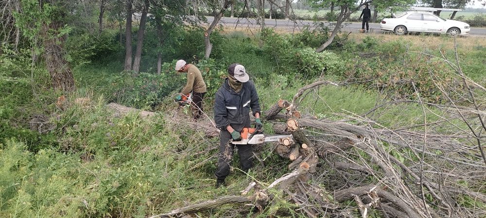 Зодиак үйлесімділігі және жыныстық қатынас