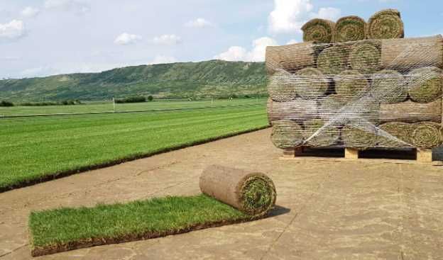 Gazon rulou PREMIUM , Sisteme de Irigare profesionale oriunde in tara!