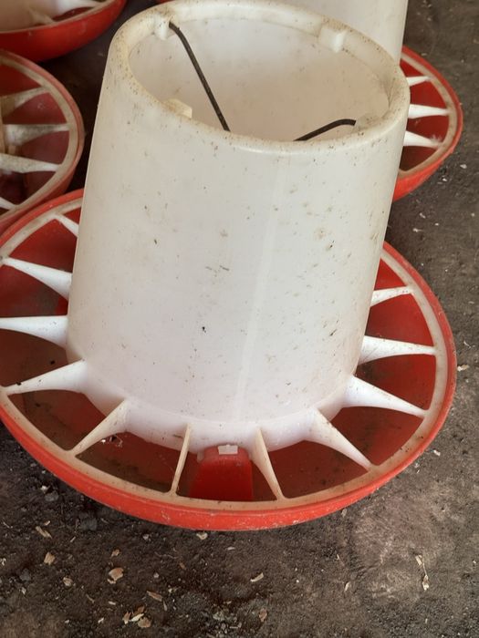 Кормушка для птиц