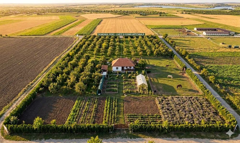 DIRECT PROPRIETAR – Teren 8.400 mp în Periș, aproape de Equestria | Ideal investiție, livadă, fermă bio, de recreere etc