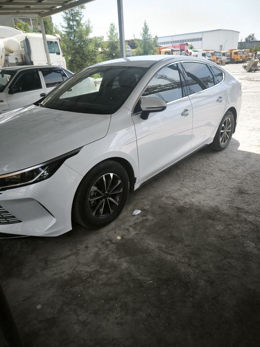 BYD CHAZOR 55tali 2024-25