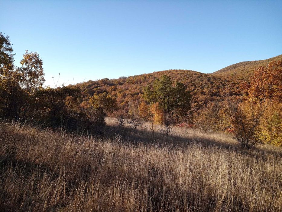 Продава се Парцел в с. Лясково, Област Стара Загора - 6967 кв.м за 5 €/кв.м - Снимка #5