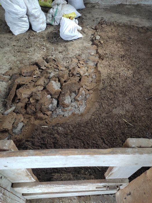 Қўй гўнги бепул бепул