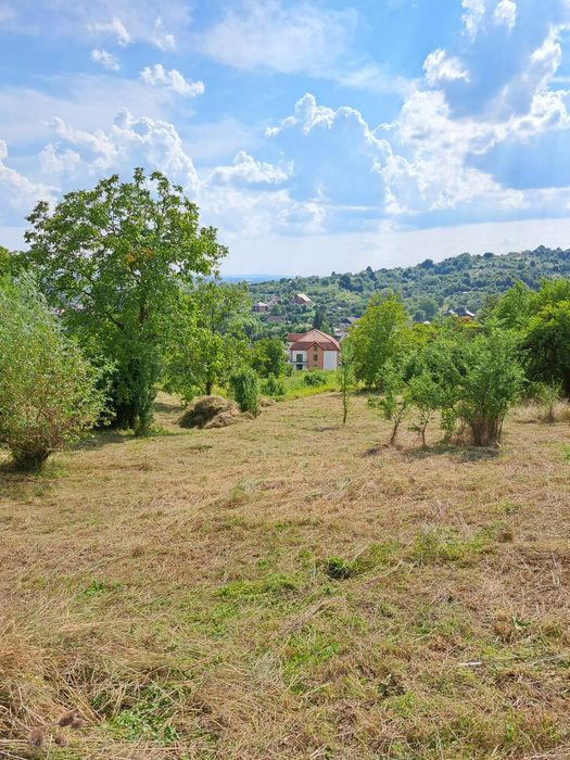 Teren 6 ari,12 sau 18ari,intrare pe Valea Borcutului pt 2 blocuri/case