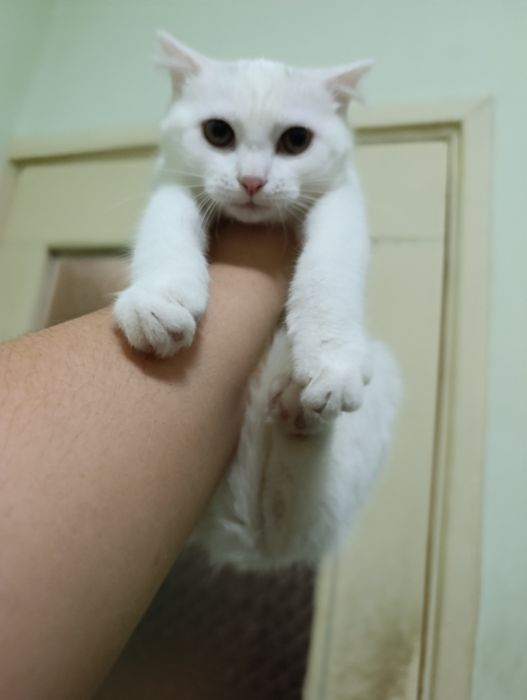 Xonanda Bianca porno rasmlar