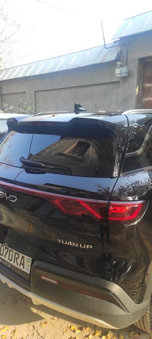 byd yuan up 2025