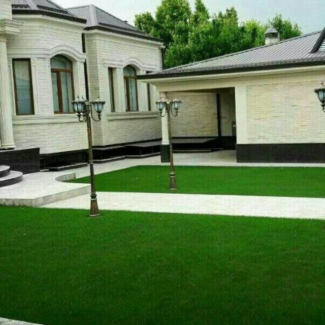 Газон ва гуллар.