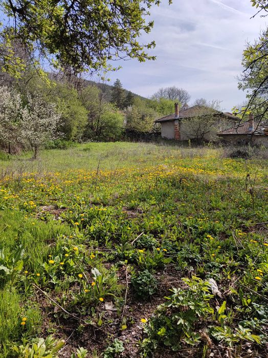 Продава се Къща в с. Присово, Област Велико Търново - 150 кв.м за 607 €/кв.м - Снимка #5