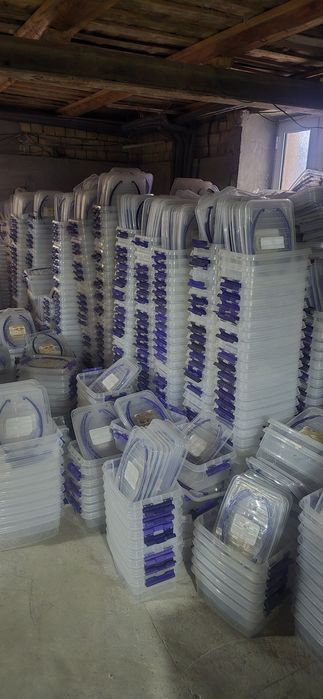 Пластиковый контейнер 5 л  Plastmas Konteyner idish 5L