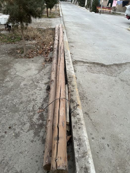 Chop sotilati ikkita bor 250 mingdan 500 minga sotiladi