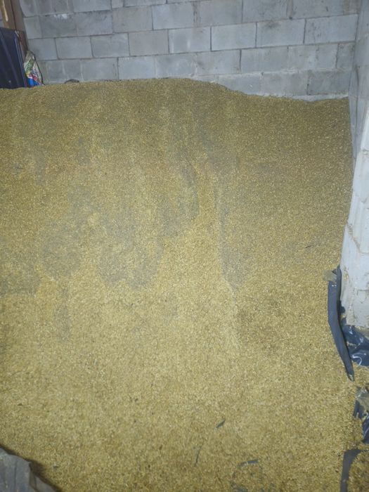 Жем сатамын бидай арпа сұлы аралас