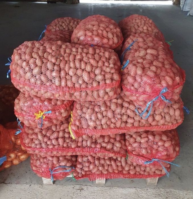 Cartofi pentru animale, furajera 3 tone