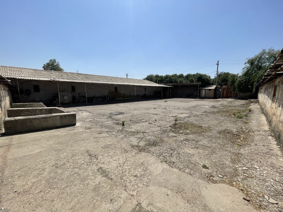 Байткургонда нотурар жой сотилади