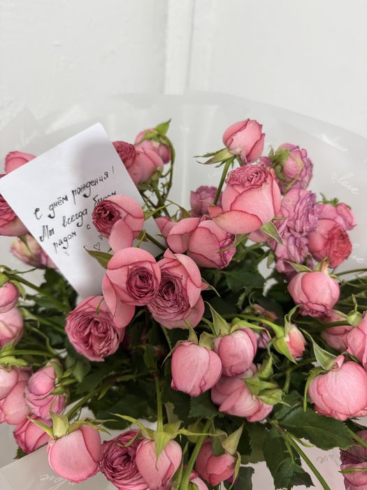 Свежи гүлл арзан баға