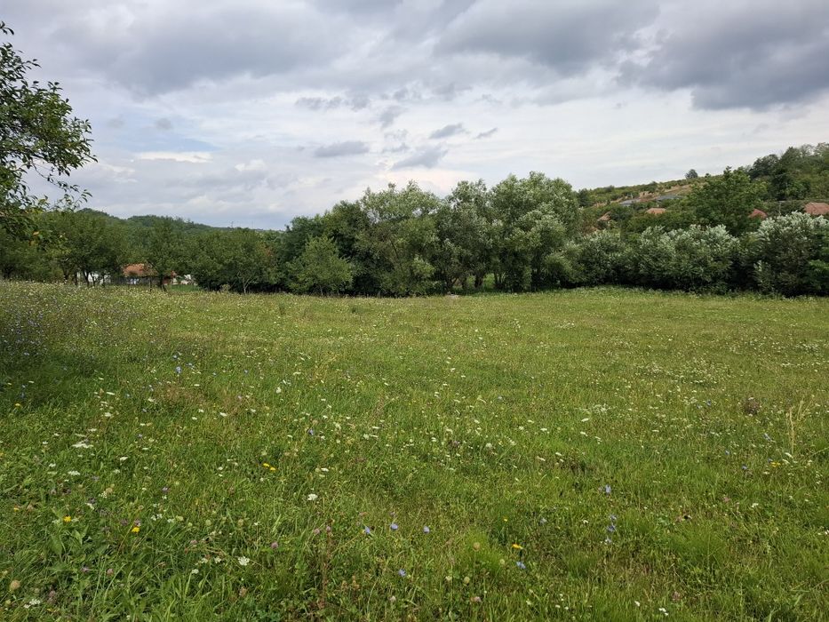 Teren intravilan Fetindia jud Sălaj