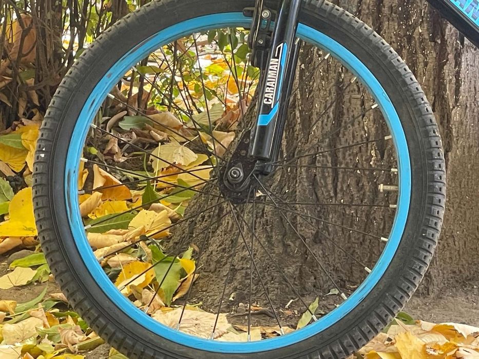 Bicicleta CARAIMAN