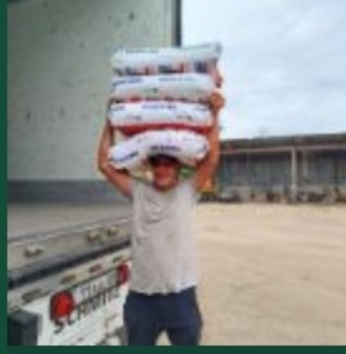 Услуги Грузчиков в Алматы