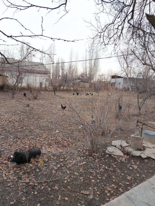 Срочно продам землю