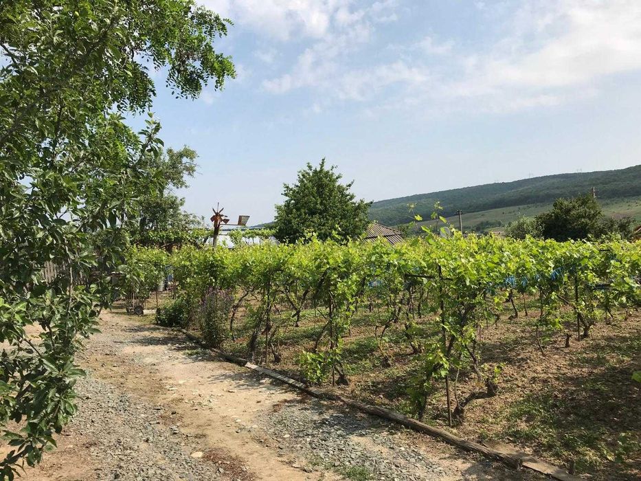 Casă cu anexă și teren în Nifon 2500 m2