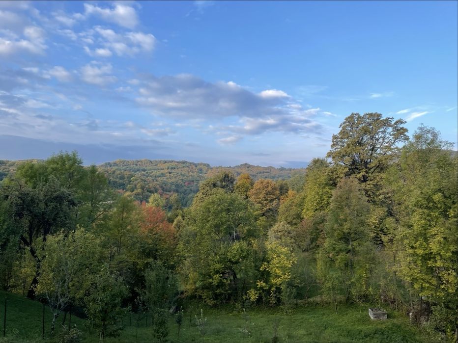 Vilă modernă de vacanță 40 m² + teren 500 m² – Forest Nest Breaza