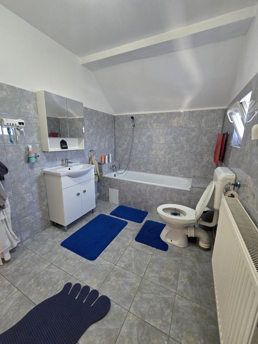 Casa individuala Sanmihaiul Roman