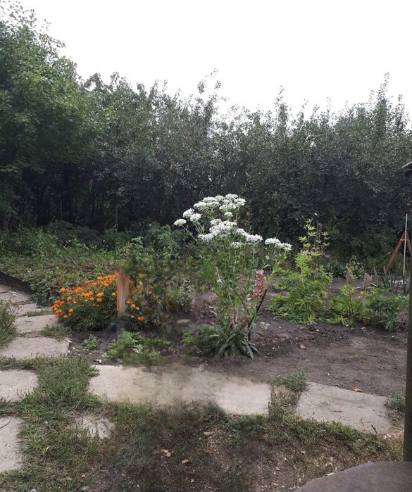 Дача в центре "Садовод "Наримановка