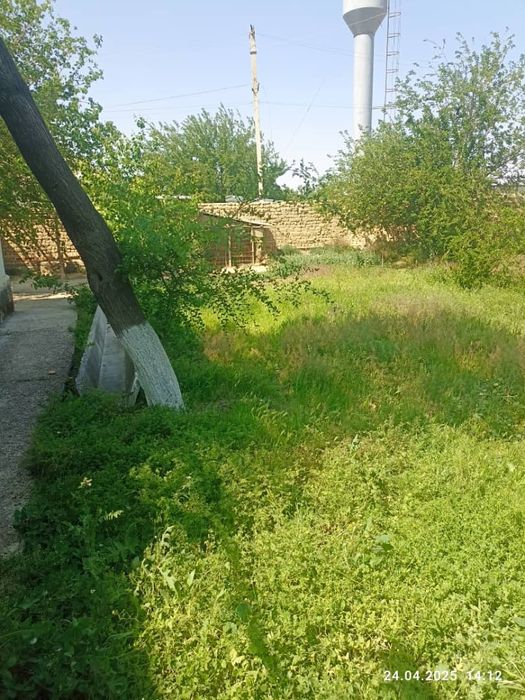 Янгиер шахрида ховли сотилади