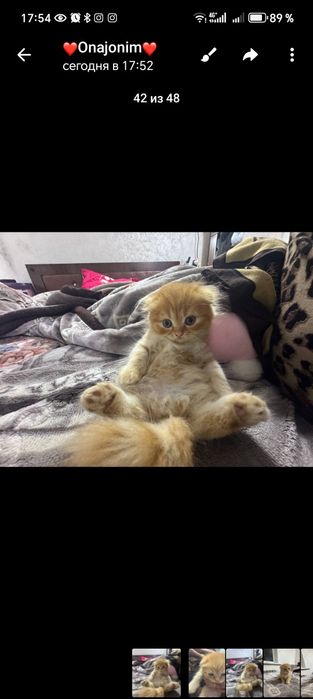 2 oylik Ismini ozila qoyasila