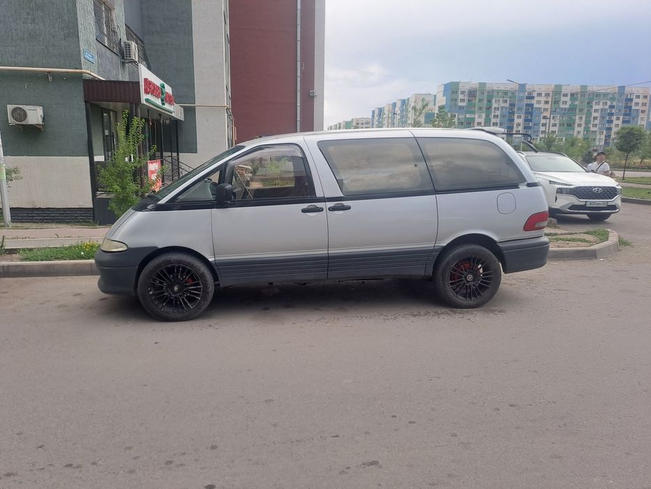 Таета естима Lusida