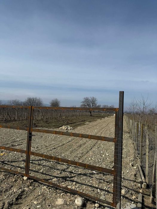 Vand Teren intravilan