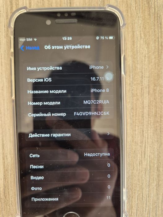 iPhone 8 256GB 100%