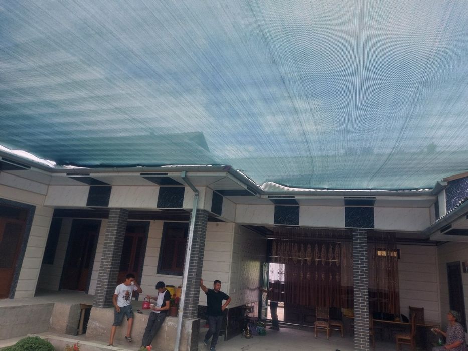 Соя сетка оргинолл