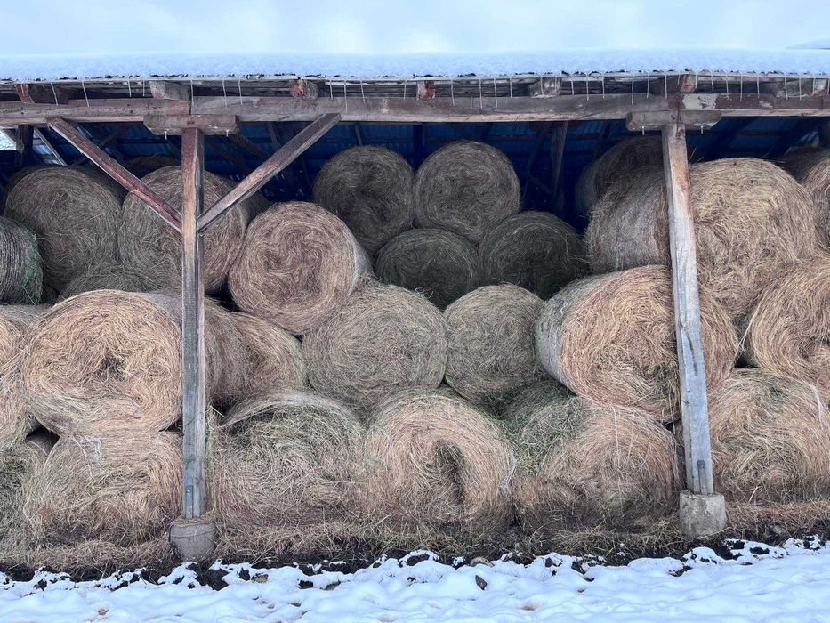 Baloți rotunzi de fân 150x120