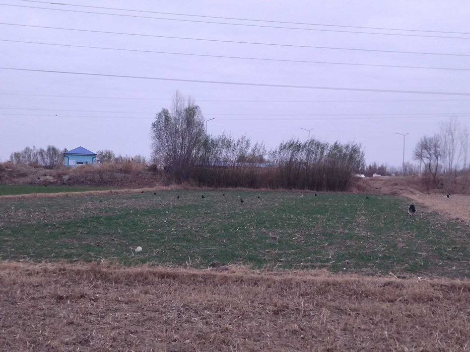 Муқимий овулда жер орын сатилади.